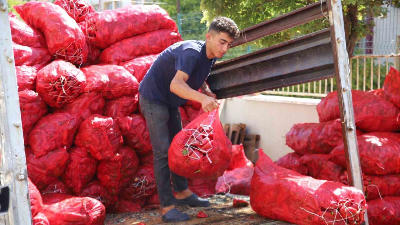 Gaziantep’te salça mesaisi başladı