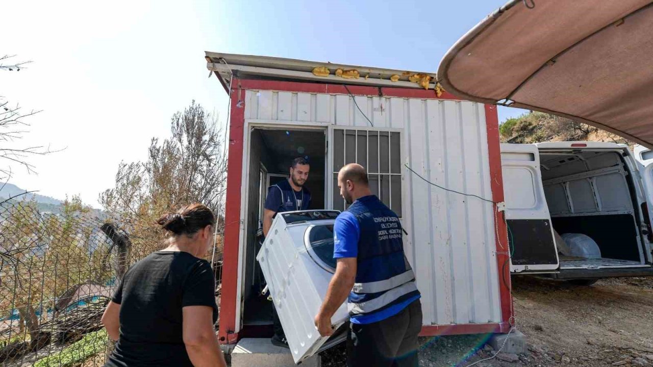 Yangınların ardından İzmir’in yaraları sarılıyor