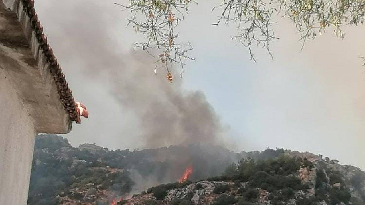 Muğla’da orman yangını