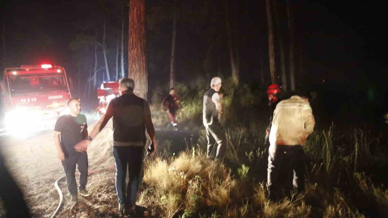 Yangın gece boyu devam etti, Orman Genel Müdürü Vali Akıyık ile geceyi sahada geçirdi