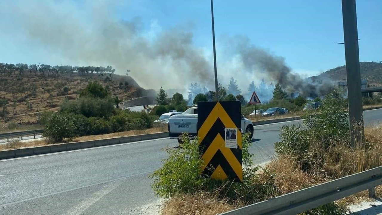 Milas’taki orman yangını kontrol altına alındı