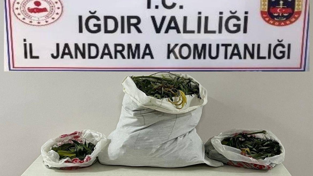 Iğdır’da farklı adreslere uyuşturucu operasyonu