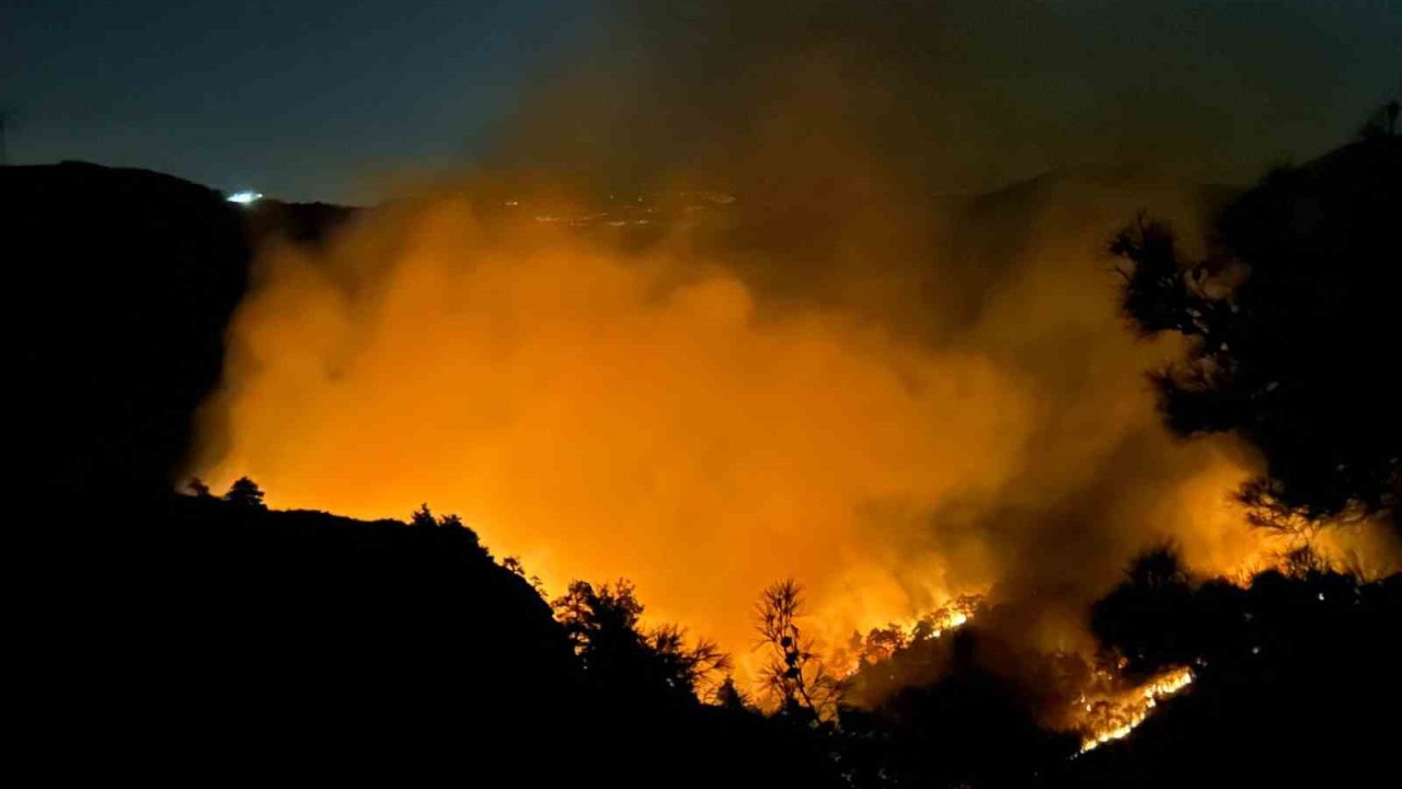 Hatay’da orman yangını