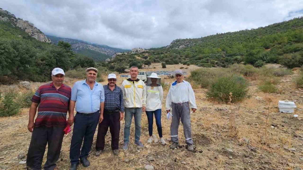 Söke’de arıcılık desteklemeleri için kovan tespit çalışmaları devam ediyor