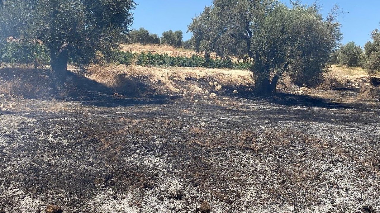 Hatay’da zeytinlik alanda çıkan yangın söndürüldü