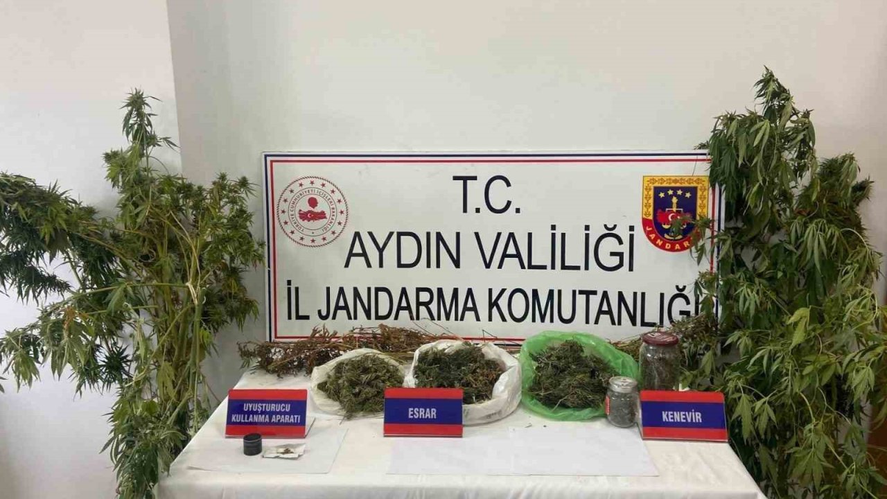 Mısır tarlasına uyuşturucu ekti, jandarmadan kaçamadı