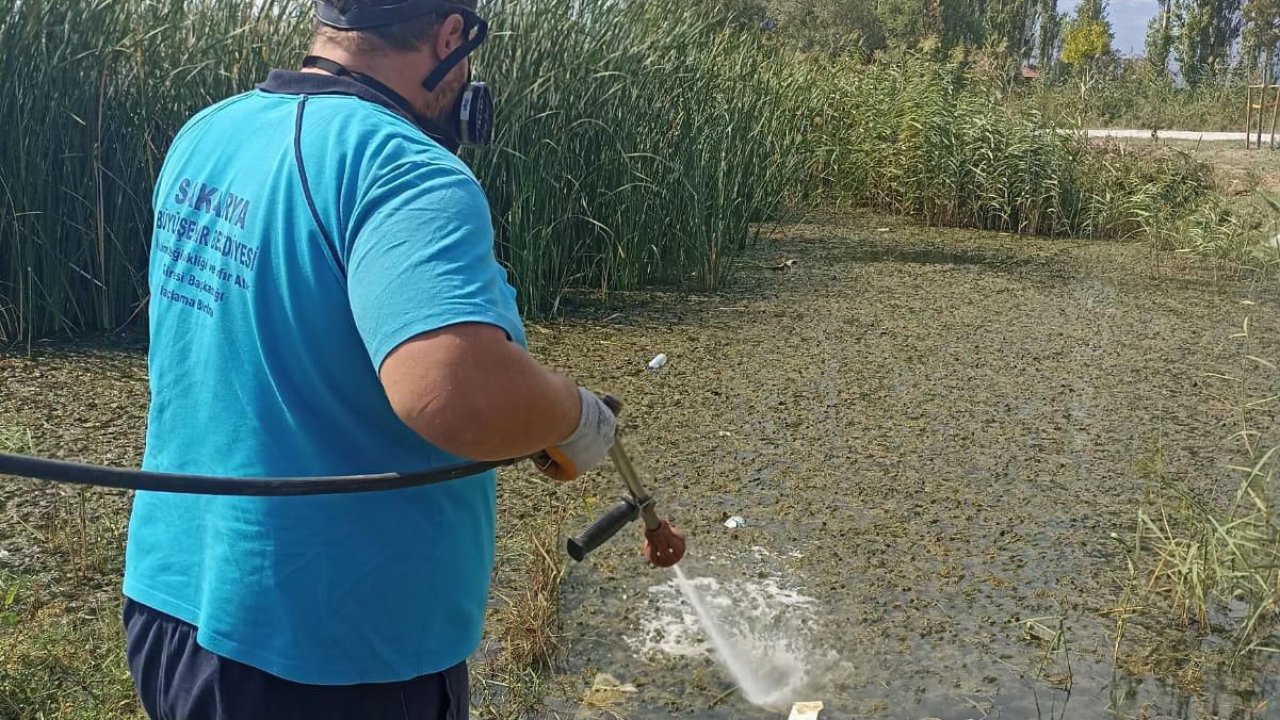 Büyükşehir’in müdahale timi her köşe başında haşereyle mücadelede