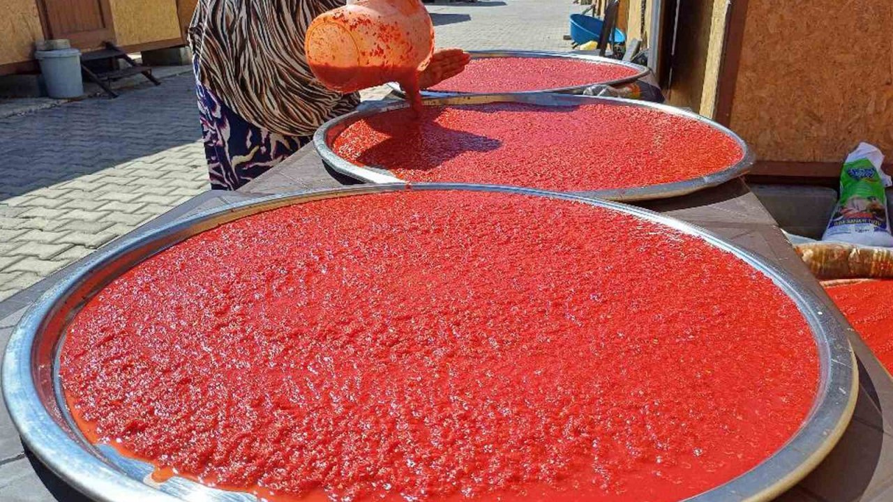 Depremzede kadınların kurutmalık ve salça telaşı başladı