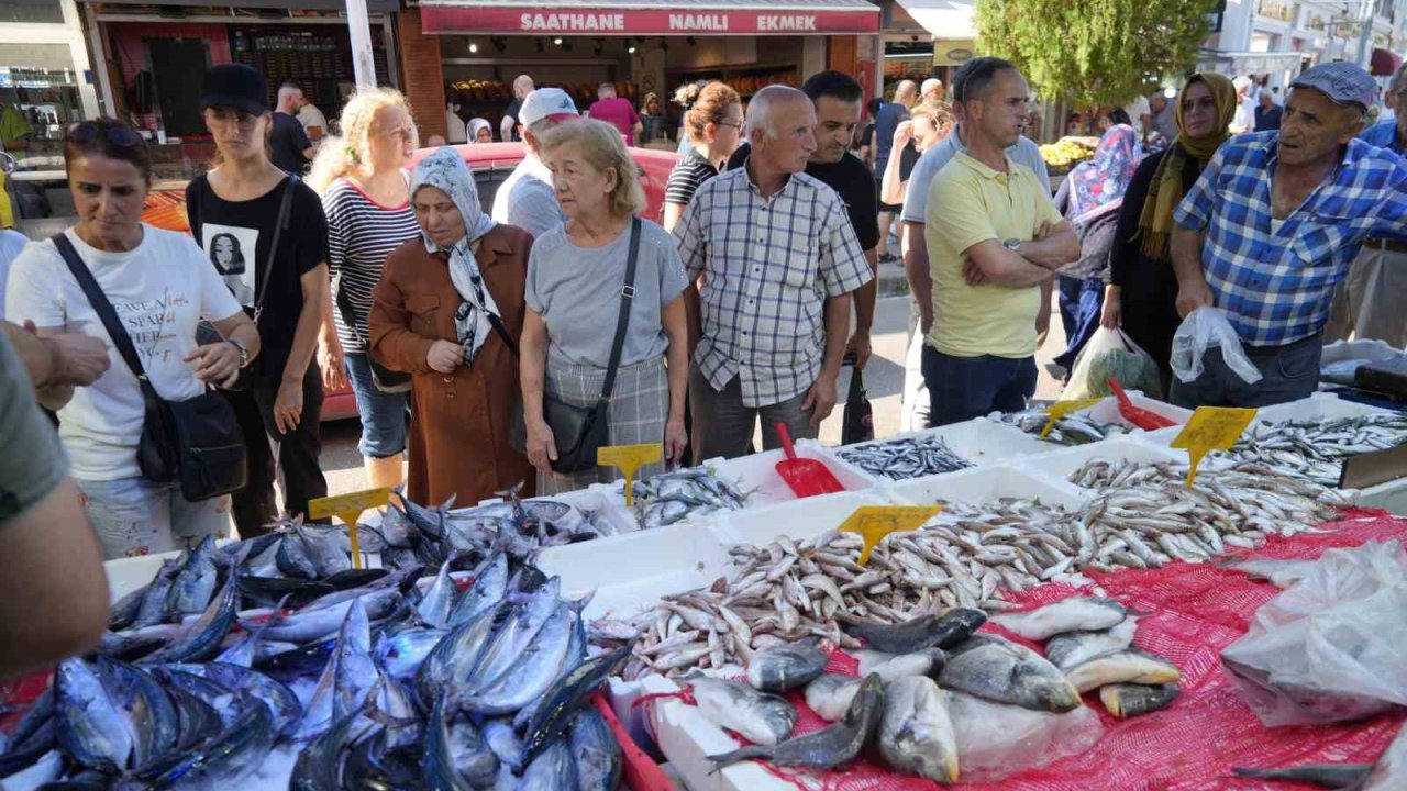 Palamut bolluğu herkesin yüzünü güldürüyor: Kiloluk palamutlar 70 TL