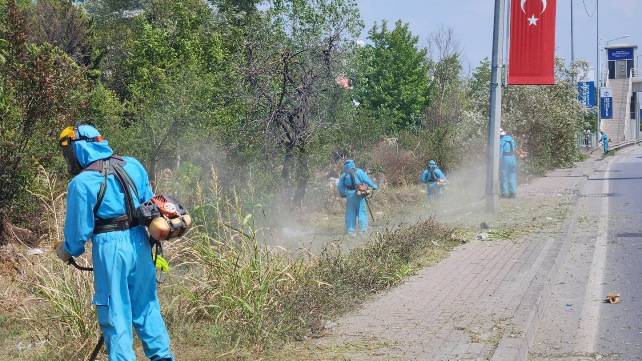 Park ve bahçelerde sonbahar temizliği