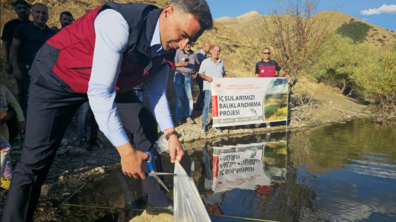 Tunceli’de 1 milyon 670 bin yavru sazan salındı