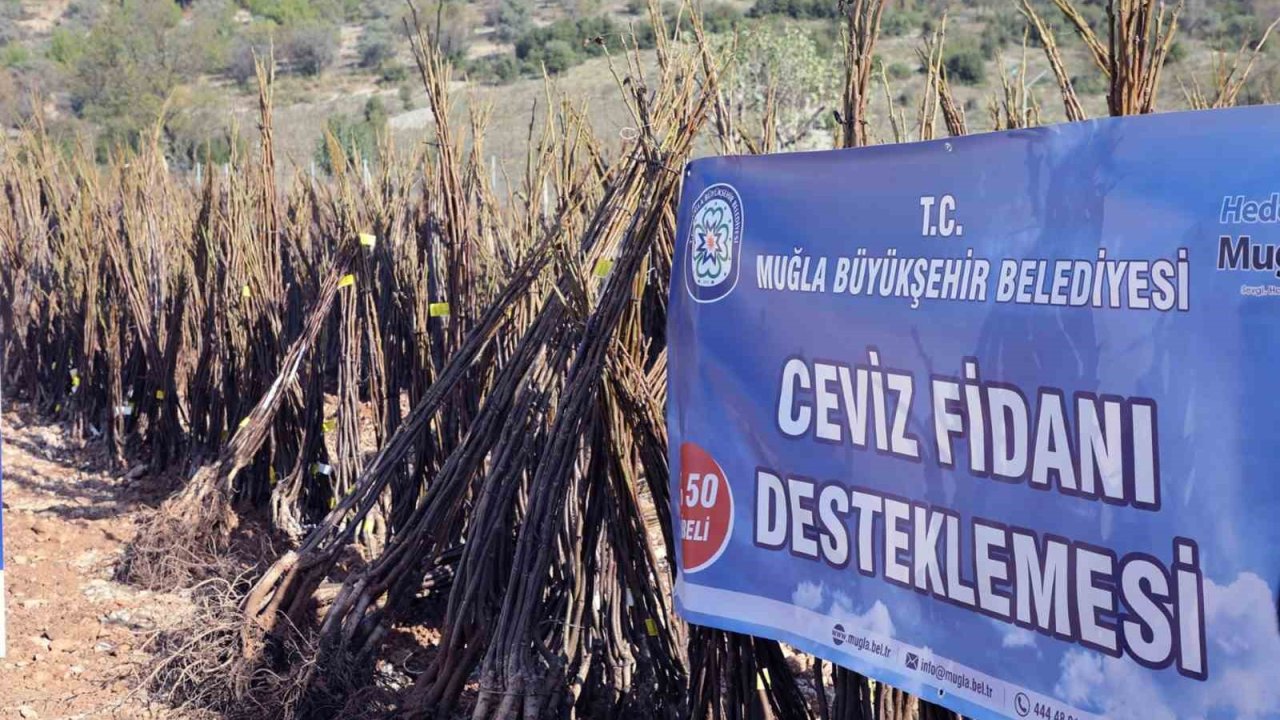 Muğla Büyükşehirden ‘Her Kapıda Bir Fidan’ projesi