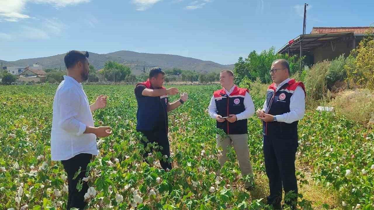 Didim’de üretim alanları kontrol edildi