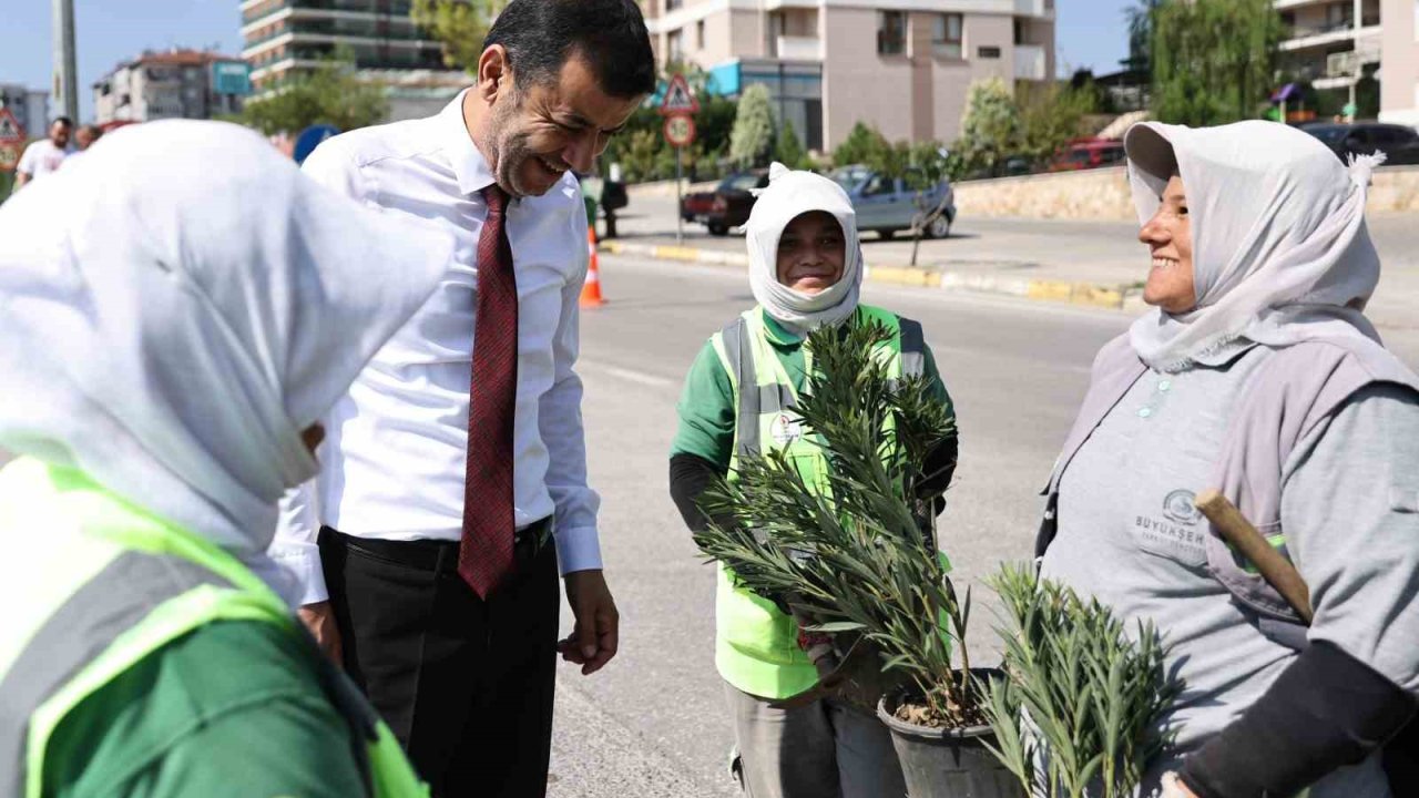 Denizli’de susuzluğa dayanıklı yeşil bitki dönemi başlıyor