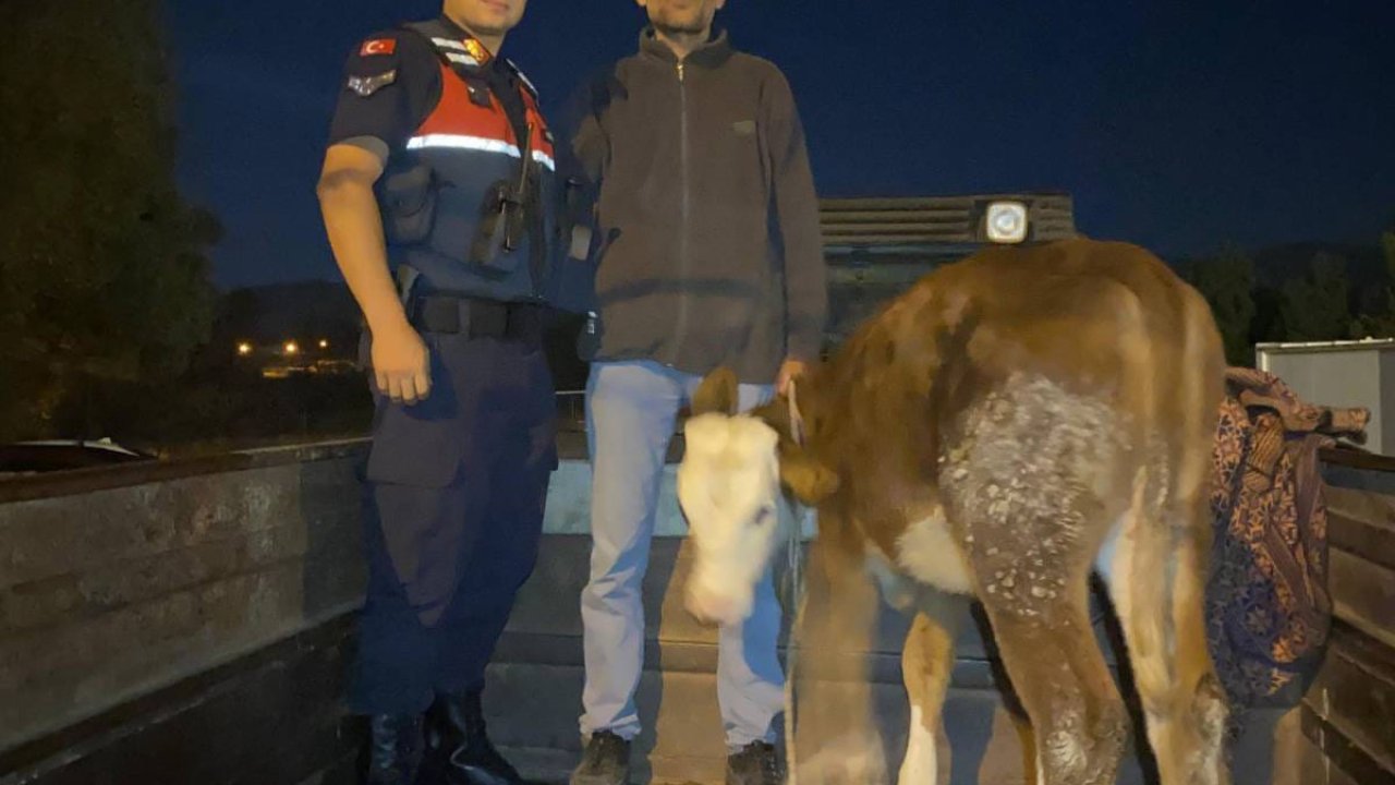 Kayseri’de çalındı, Kahramanmaraş’ta bulundu