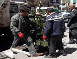 Kars'ta Ağaçlandırma Çalışmalarına Başlandı