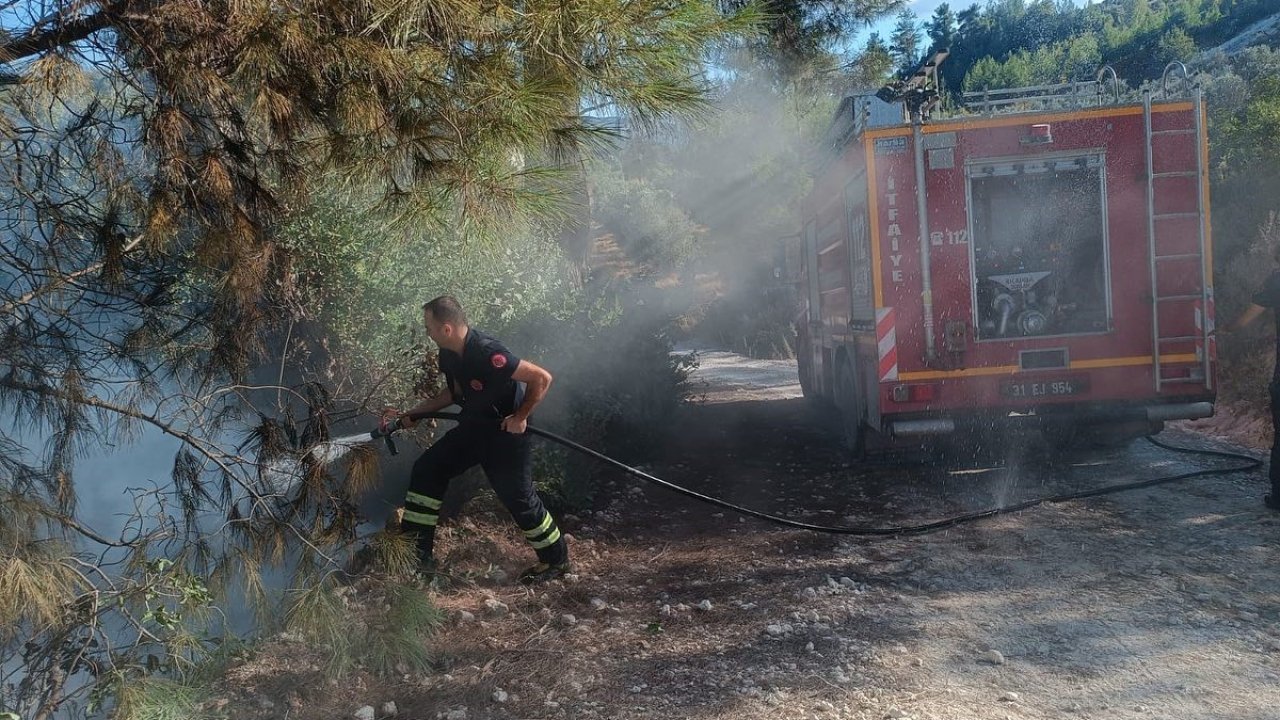 Yayladağı’nda örtü yangını