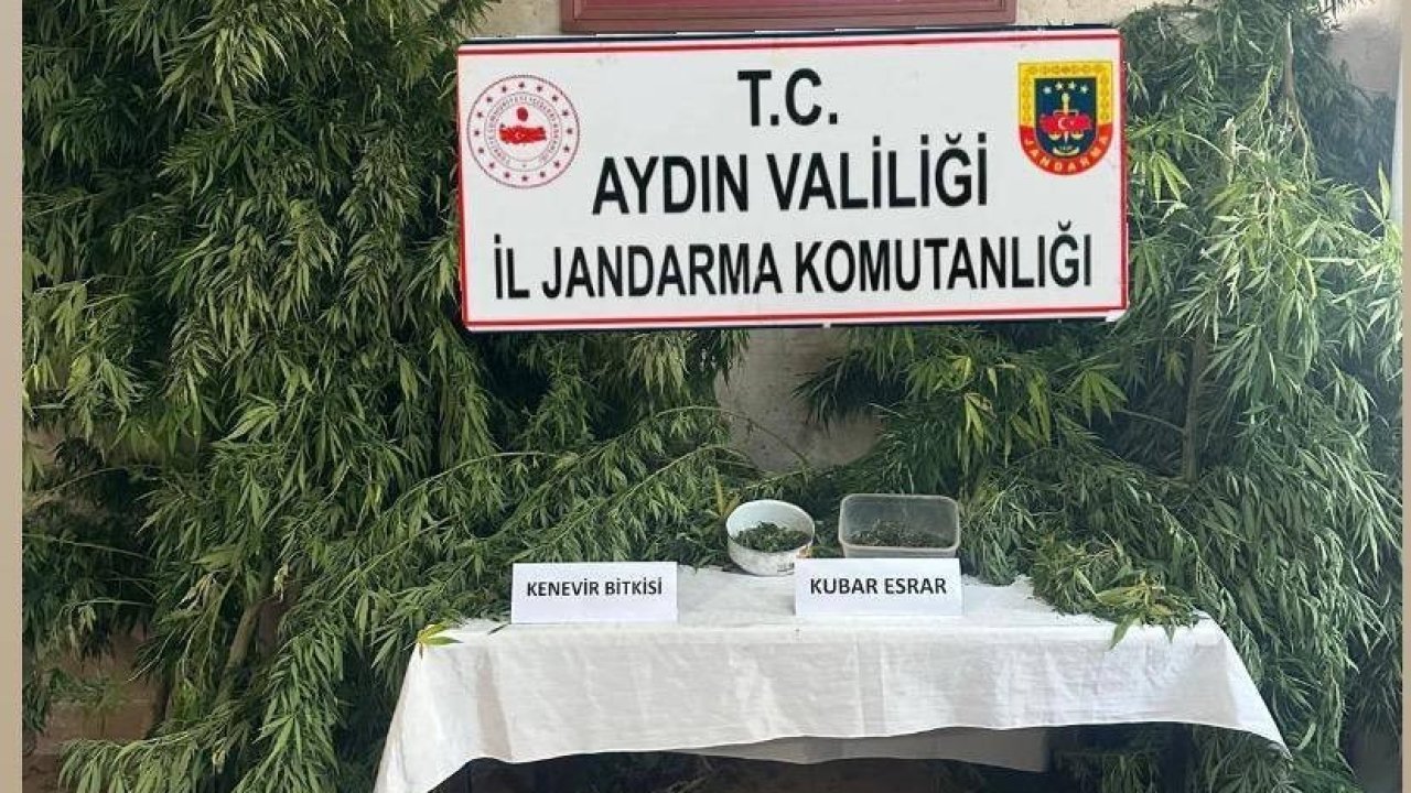 Germencik’te uyuşturucu operasyonu: 1 gözaltı