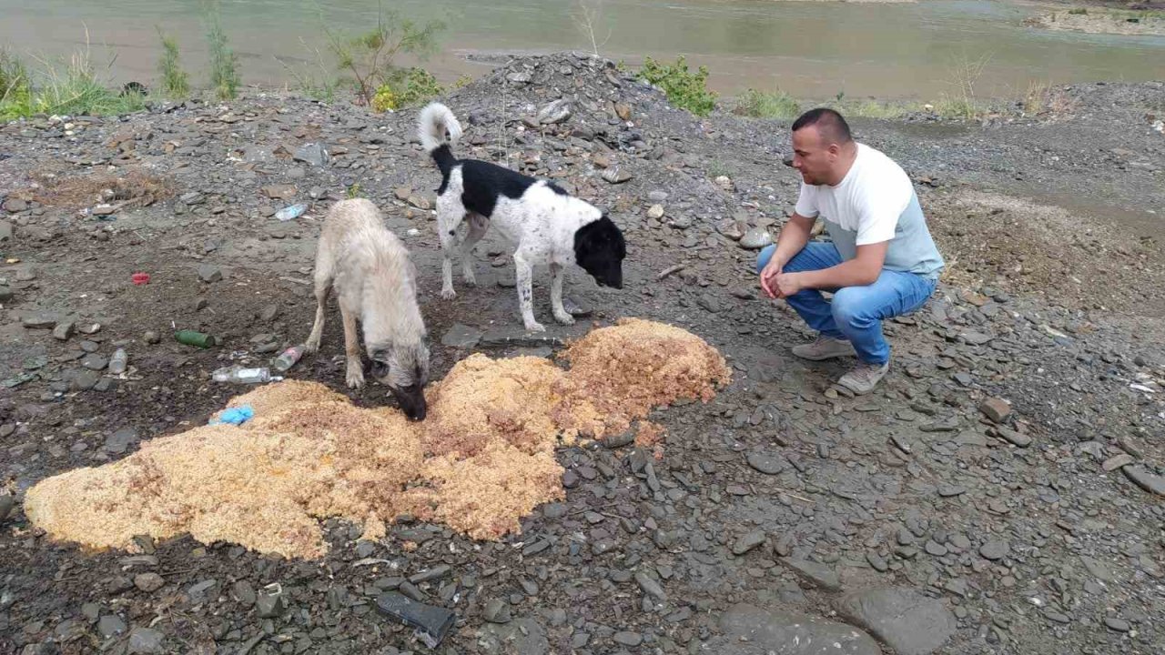 Yağmurlu havada can dostlara yiyecek bırakıldı