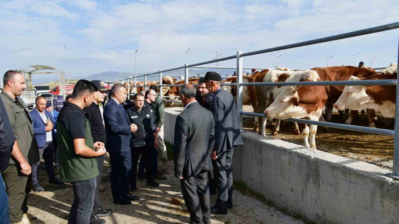 Vali Çiçek, Ardahan hayvan pazarında incelemelerde bulundu