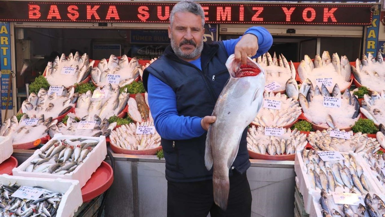 Gaziantep’te havaların serinlemesiyle balık satışları arttı