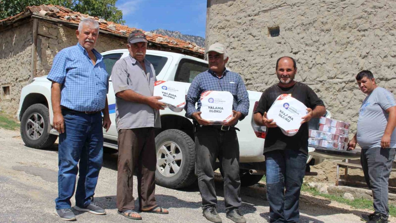 Büyükşehir “Çoban Haritası” çıkarıyor