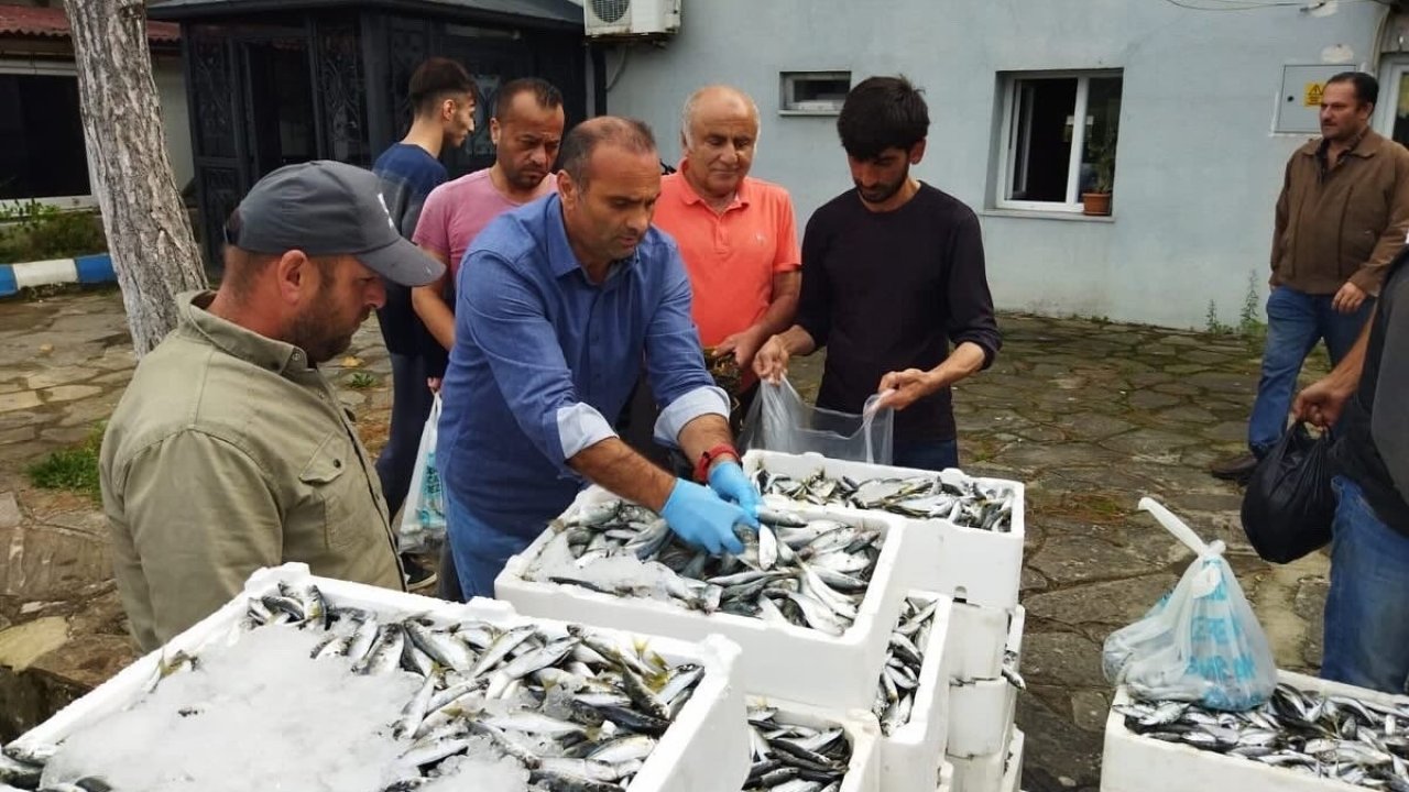 Sinop’ta yasa dışı avlanan 70 kasa balığa el konuldu