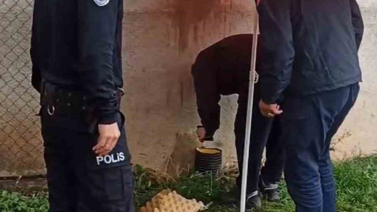 Yağmur altında kedi kurtarma operasyonu: boruya sıkışan kedi itfaiye ekiplerince kurtarıldı