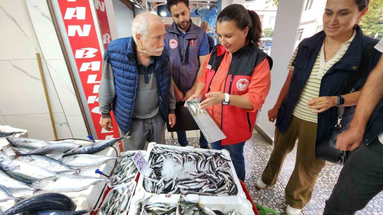 Çanakkale’de Balık Denetimi: Yasal Avlanma Boyları ve Hijyen Kontrolleri Yapıldı