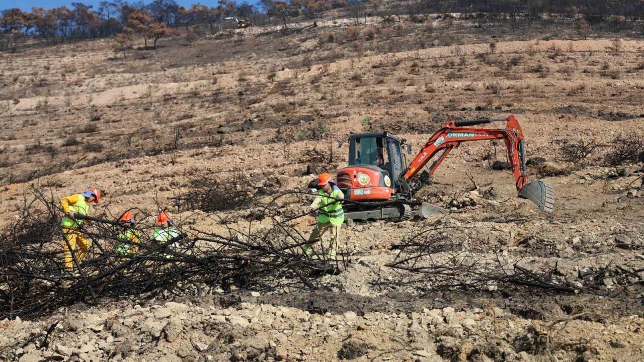 İzmir’de yanan ormanlık alana 1 milyon 100 bin fidan dikilecek