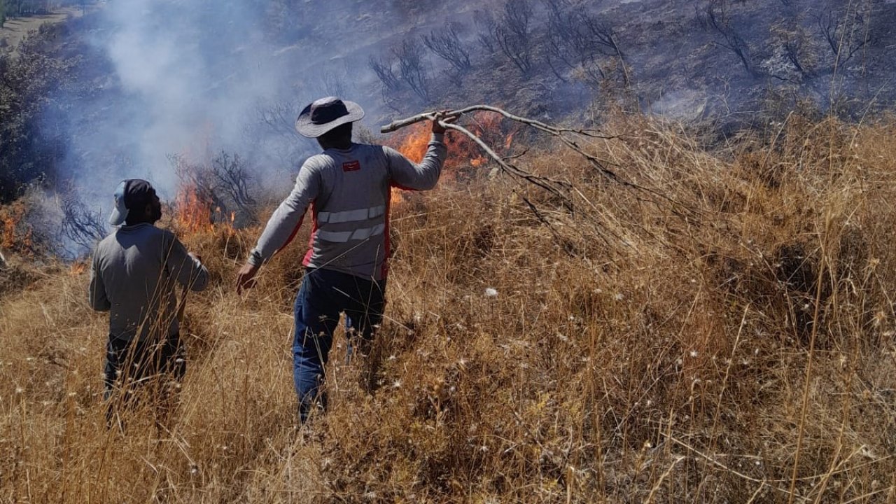 Tunceli’deki yangın ormanlık alana sıçramadan söndürüldü