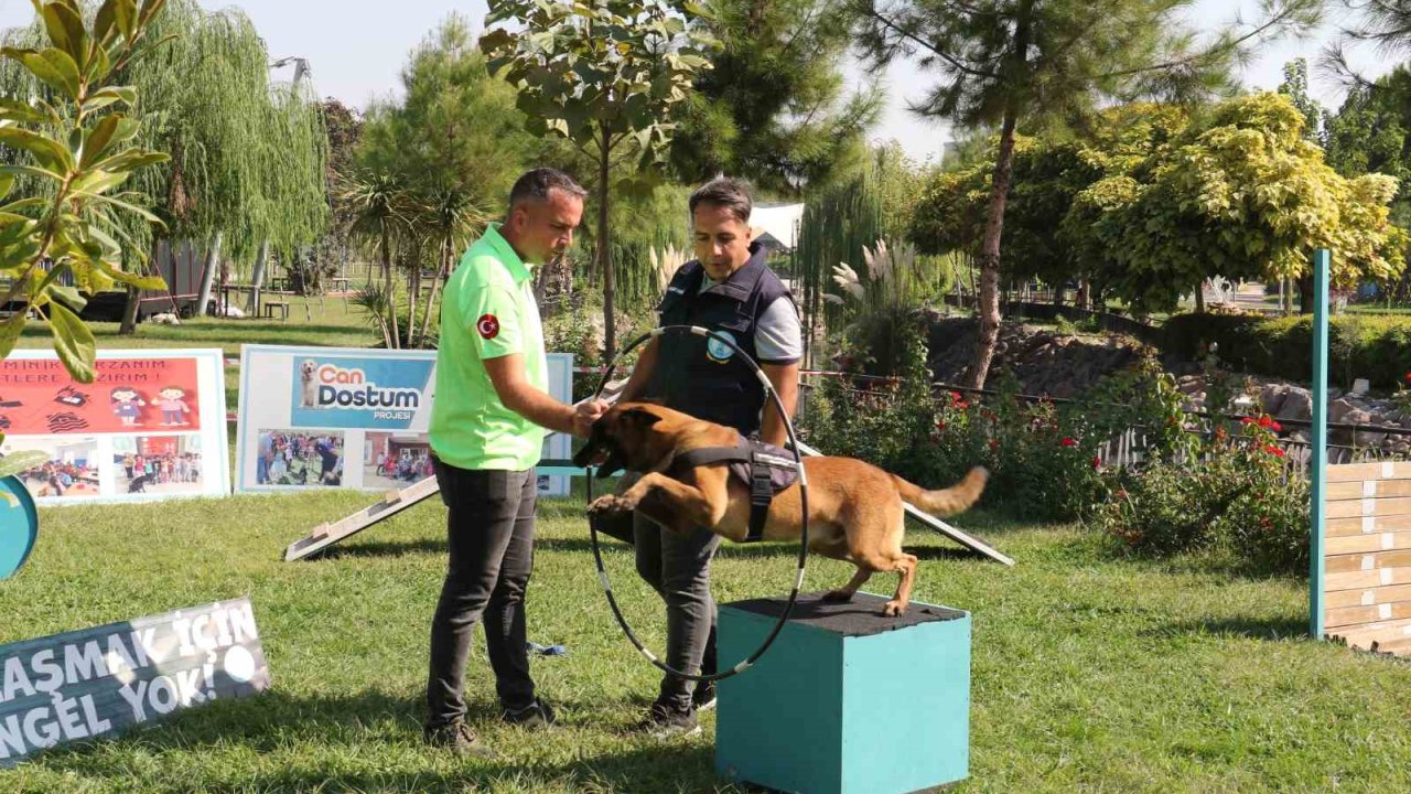 Minik öğrenciler eğitimli köpeklerin gösterisine hayran kaldı