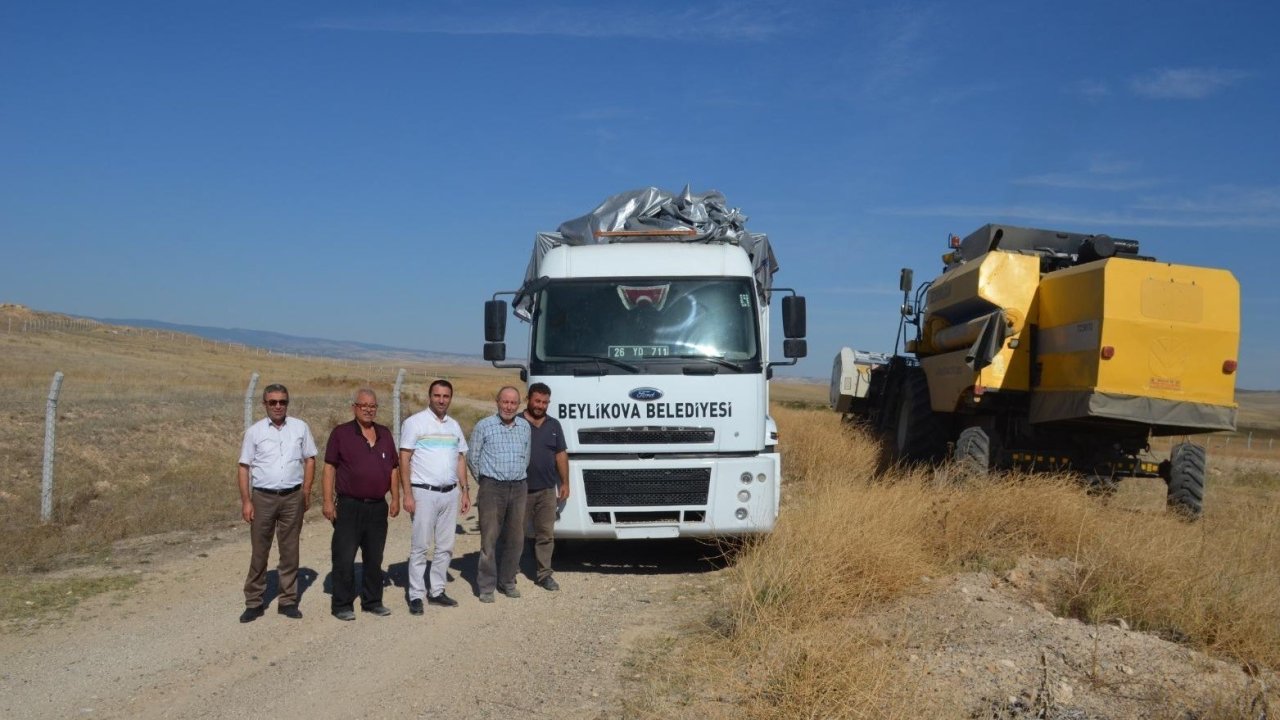 Beylikova Belediyesi yağlık ayçiçeği hasadına başladı