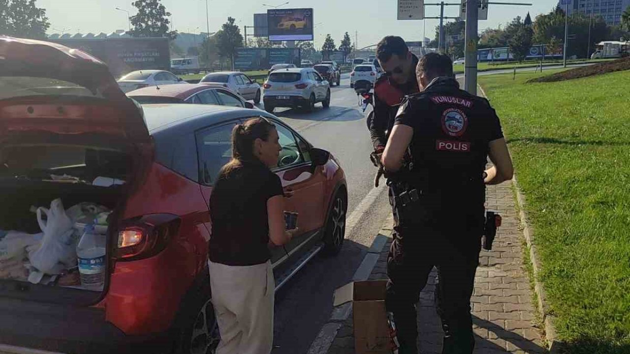 Bursa’da trafikte yavru kedi alarmı..Polisler 4 araca giren kediyi kurtardı