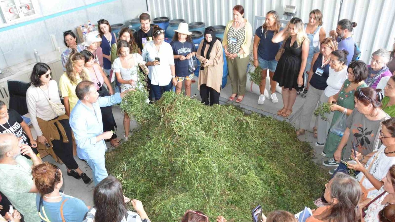 BAÇEM’de tıbbi ve aromatik bitkiler kursu tamamlandı