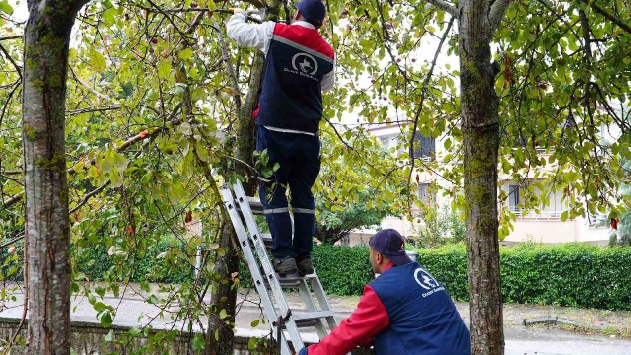 Düzce’de çevre düzenlemesi sürüyor