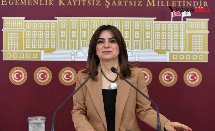 Kars Harakani Devlet Hastanesi, TBMM Gündemine taşındı