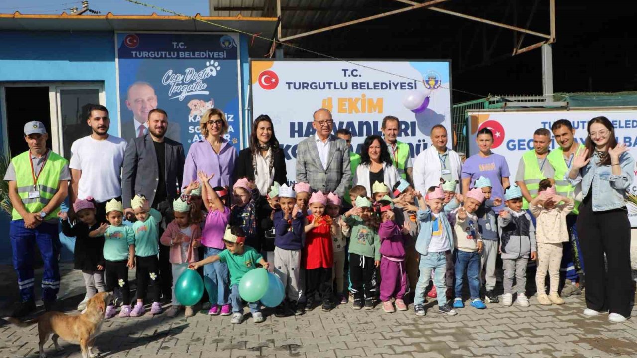 Turgutlu’da sokak hayvanları sahiplendirilecek