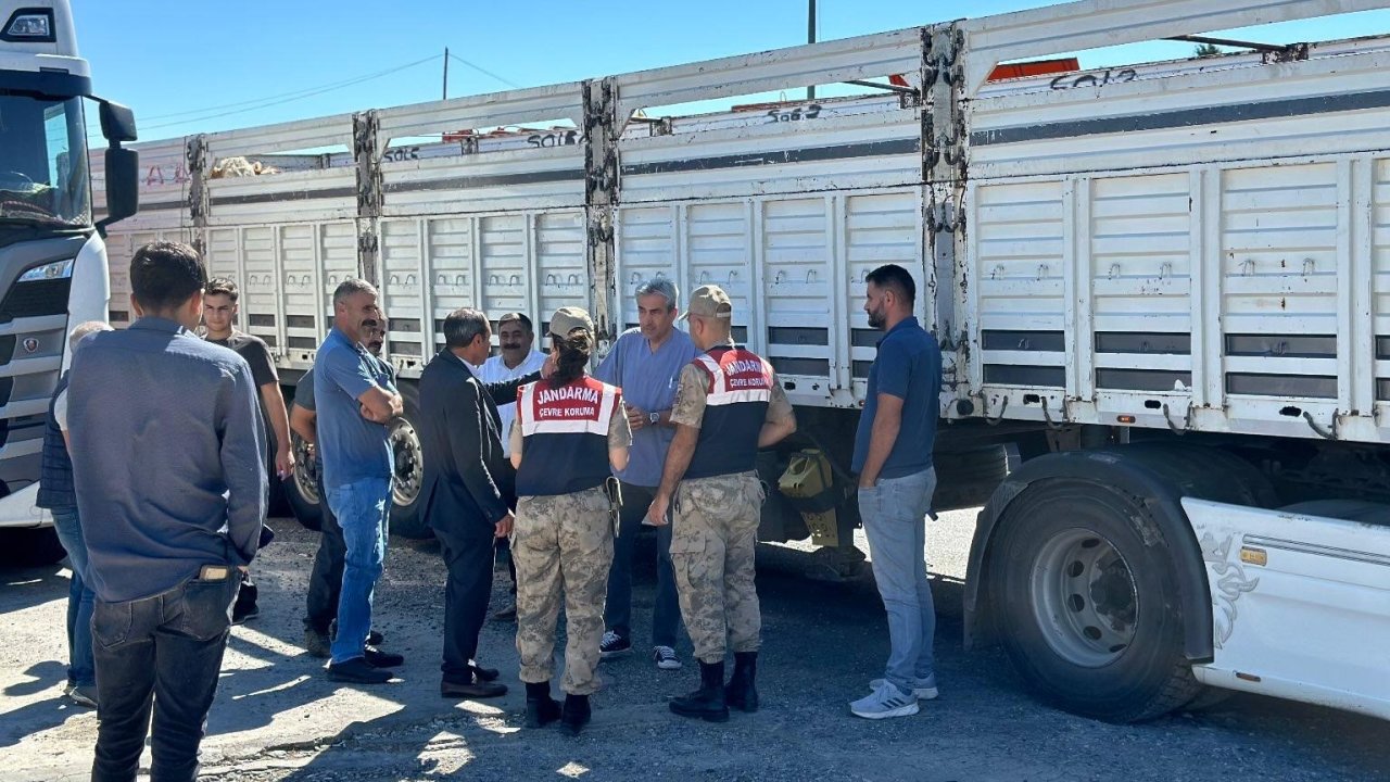 Diyarbakır’da sevk belgesi olmayan 384 adet hayvan kontrole takıldı