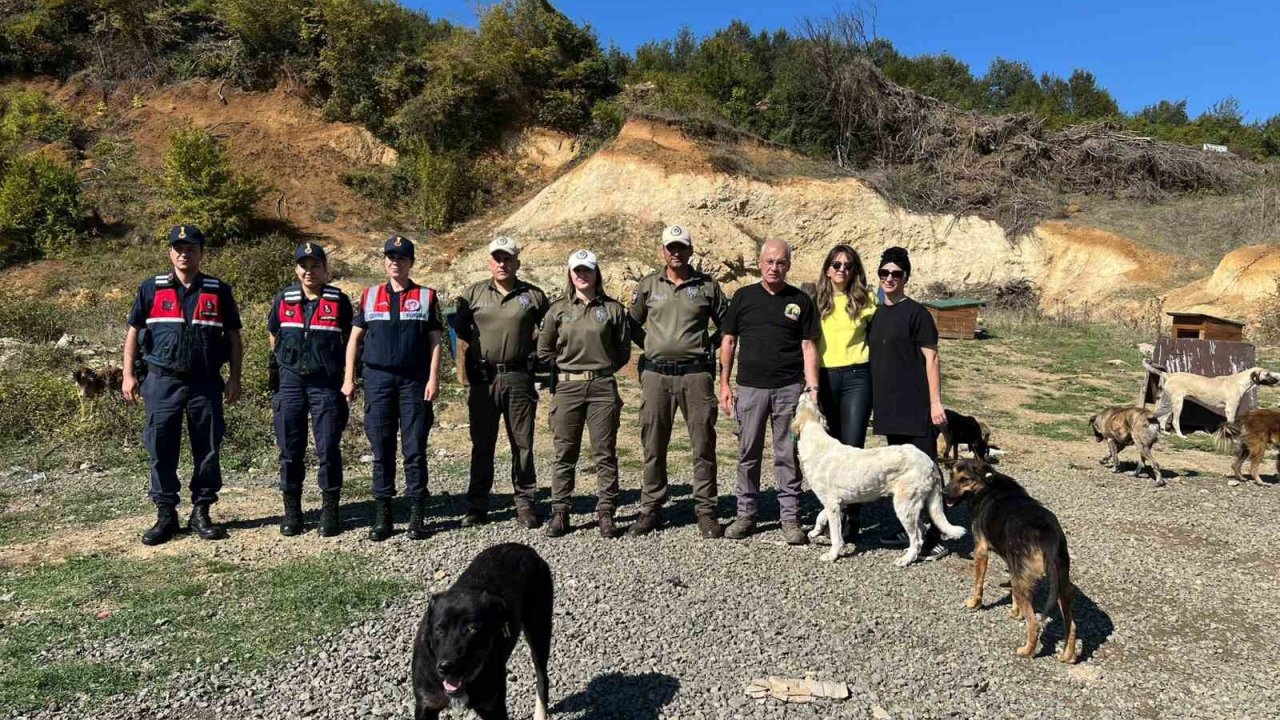 Sokak hayvanlarına destek