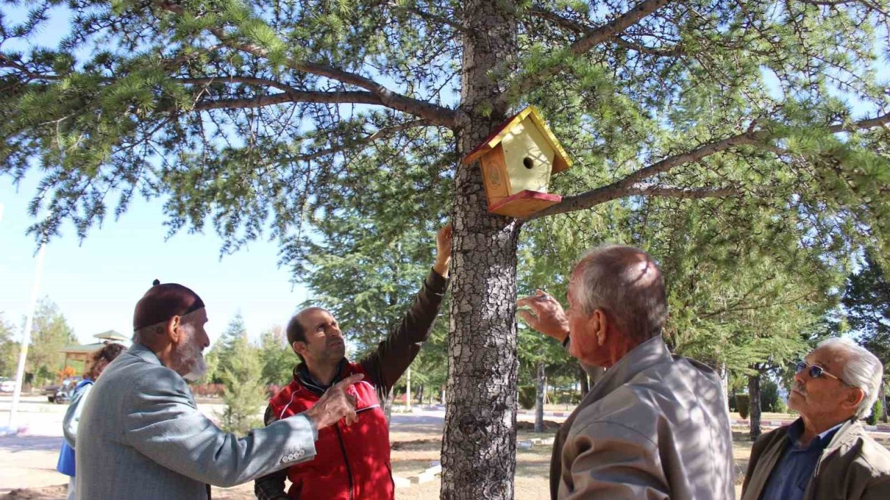 Karaman’da kuş evleri ağaçlara yerleştirildi