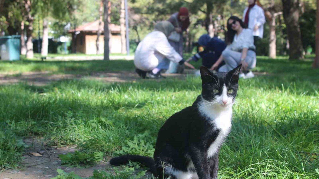 Öğrencilerden Hayvanları Koruma Günü duyarlılığı