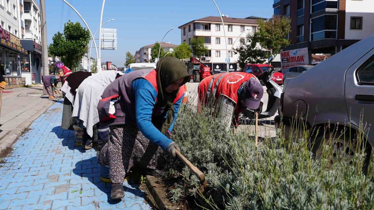 Yeşil dokuya özel ilgi