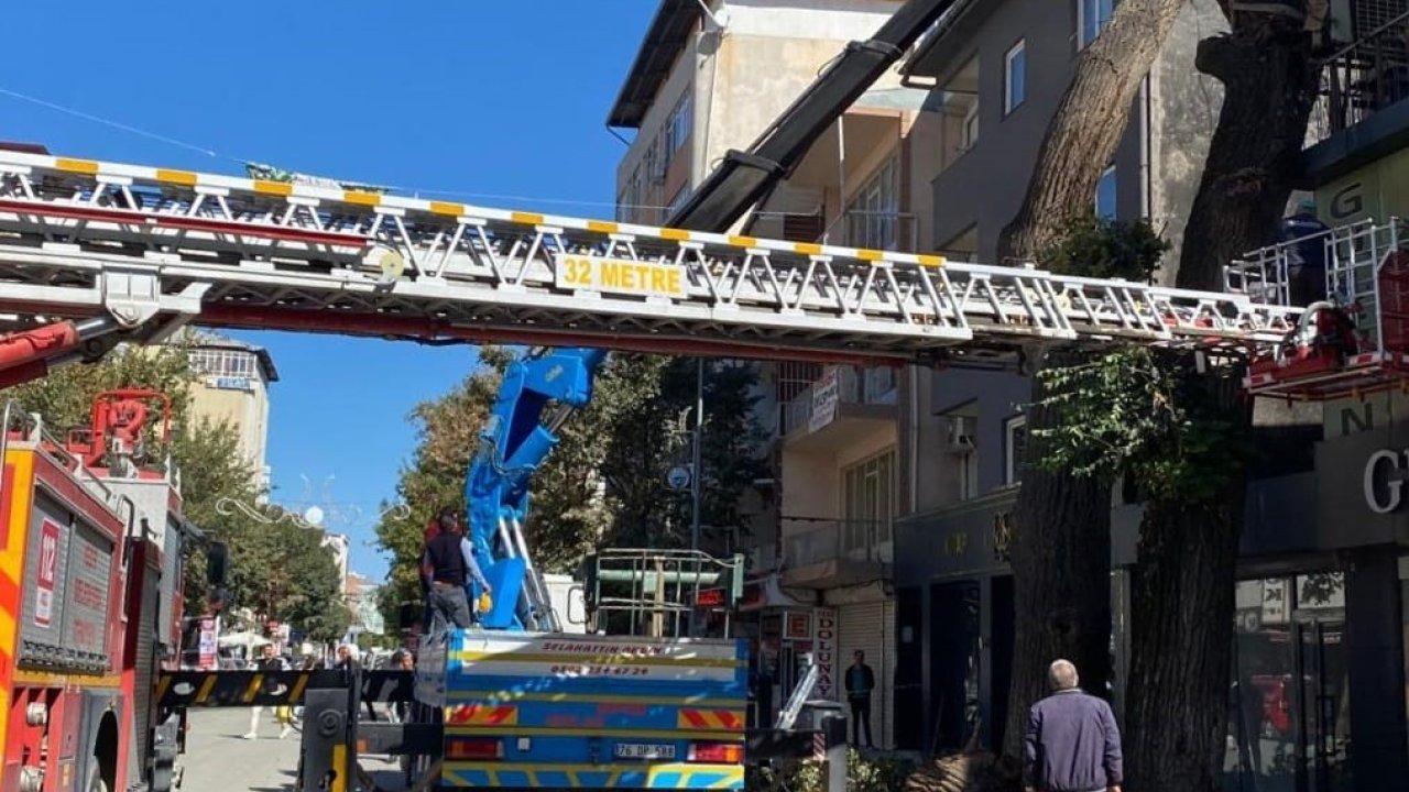 Iğdır’da tehlike arz eden ağaçlara müdahale