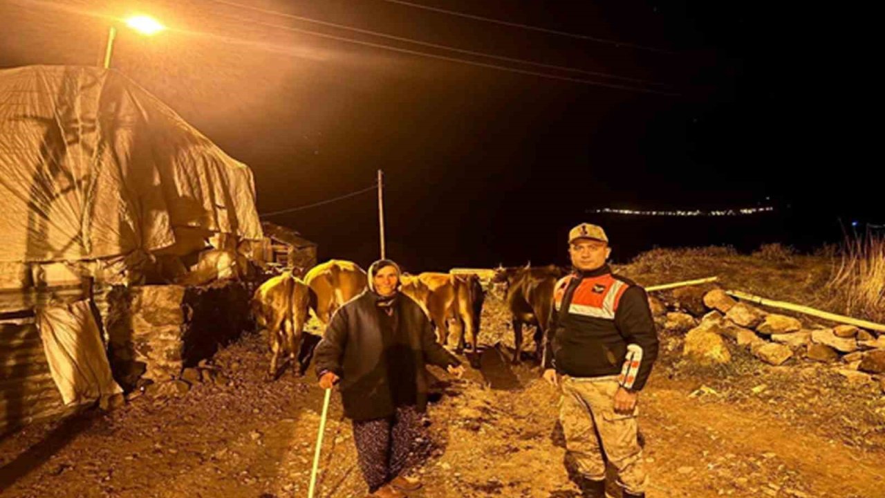 Ardahan’da kaybolan hayvanlar bulunup sahibine teslim edildi