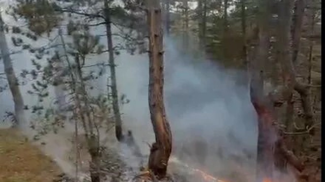 Yıldırım sebebiyle çıkan orman yangını köylülerin müdahalesi ile söndürüldü