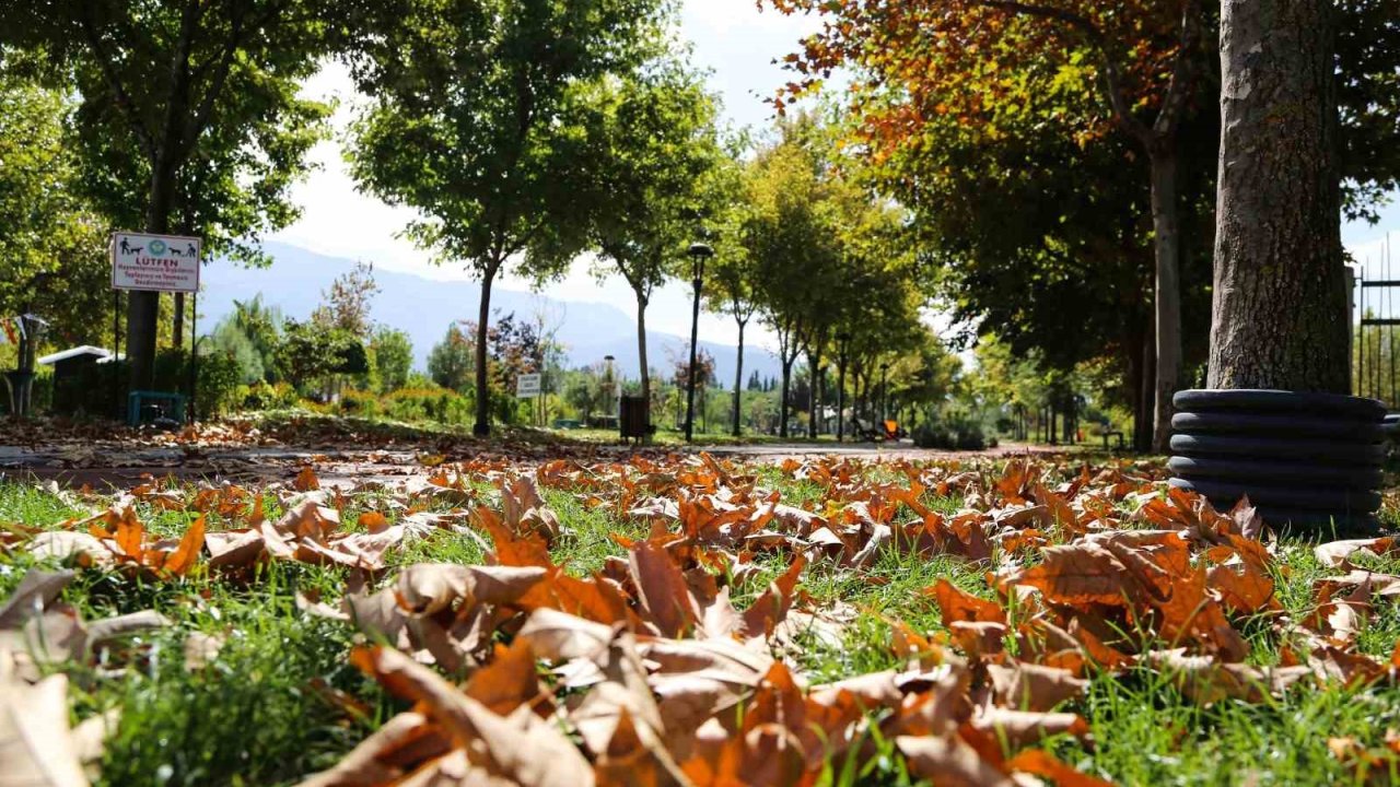 Kent Park’ta sonbahar manzaraları mest etti