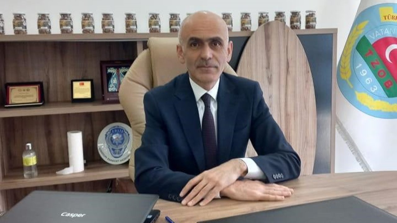 Giresun Ziraat Odası Başkanı Karan: "Fındıkta kahverengi kokarca tehdidi büyüyor"