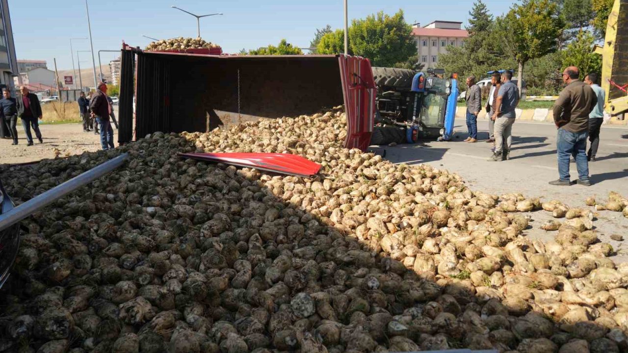 Muş’ta şeker pancarı yüklü traktör devrildi