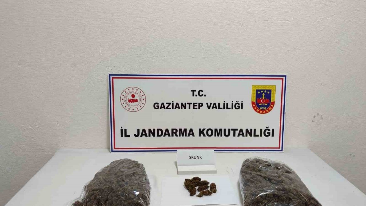 Gaziantep’te 5 kilo skunk ele geçirildi: 1 şahıs tutuklandı